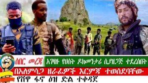 ሰበር መረጃ | አገዛዙ የሀሰት ዶክመንታሪ ሲያዘጋጅ ተደረሰበት | በአለምሳጋ ዘራፊዎች እርምጃ ተወሰደባቸው | የሸዋ ዕዝ ፋኖ ድል ተቀዳጀ