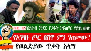 #ሰበር ዜና | ethiopia | amhara fano በደቡብ ጎንደር የጋፋት ክፍለጦር የድል ውሎየአገዛዙ ጦር በሸዋ ምን ገጠመው?