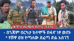 ቀጥታ ስርጭት ከጦር ግንባር–በጎጃም በርካታ ከተሞች በፋኖ ነጻ ወጡ! የሸዋ ዕዝ የጣለው ደፈጣ ድል አስገኘ! መስከረም 25/17 የምሽት መዋለ ፋኖ ዜና