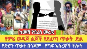 ከመሸ የደረሰ መረጃ | የምሬ ወዳጆ ልጆች የደፈጣ ጥቃት | የድሮን ጥቃት በጎጃም | የግፍ እስረኞች ችሎት | Amhara Fano