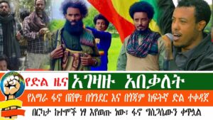 የድል ዜና – አገዛዙ አበቃለት | በሸዋ : ጎጃምና ጎንደር ፋኖ ድል ተቀዳጀ | ከተሞች ነፃ እየወጡ ነው | Amhara Fano