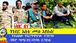 ሰበር ዜና ጎንደር እስቴ መካነ እየሱስ!! የአገዛዙ ሶስት ፖትሮል ሙትና ቁስለኛ!! የአርማጭሆዉ ትንቅንቅ፣ ጎጃም ሜጫ ዳጊ፣ዳንግላ የዋለው ተጋድሎ!!