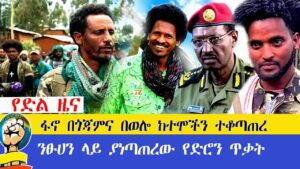 የድል ዜና | ፋኖ በጎጃምና በወሎ ከተሞችን ተቆጣጠረ | ንፁሀን ላይ ያነጣጠረው የድሮን ጥቃት | Amhara Fano Daily News