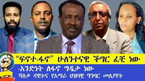 “ፍኖተ-ፋኖ” ሁለንተናዊ ችግር ፈቺ ነው-አንድነት ለፋኖ ግዴታ ነው ሻለቃ ዳዊትና የአማራ ህዝባዊ ግንባር መለያየት