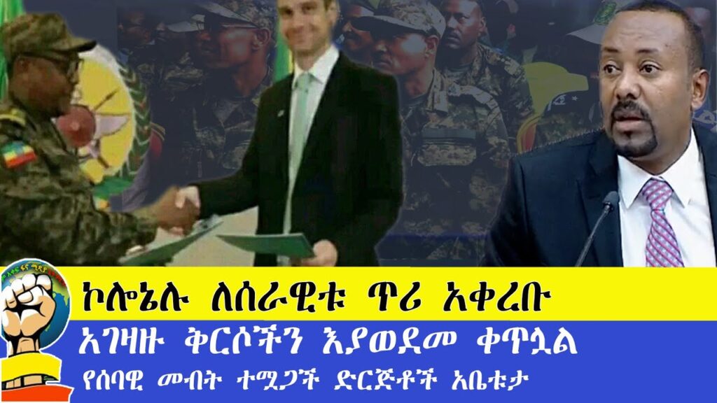 ኮሎኔሉ ለሰራዊቱ ጥሪ አቀረቡ አገዛዙ ቅርሶችን እያወደመ ቀጥሏል የሰባዊ መብት ተሟጋች ድርጅቶች አቤቱታ